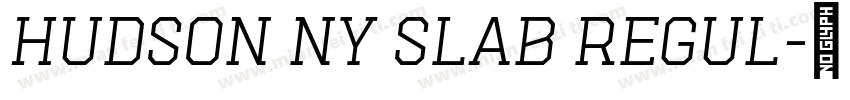 Hudson NY Slab Regul字体转换